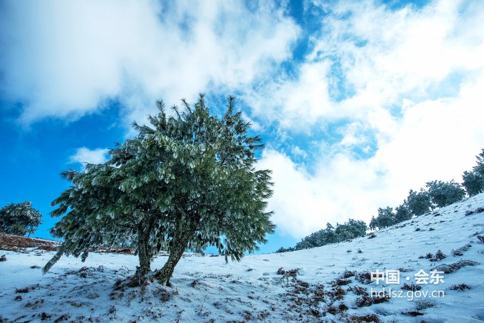 ΢ͼƬ_20180116103918